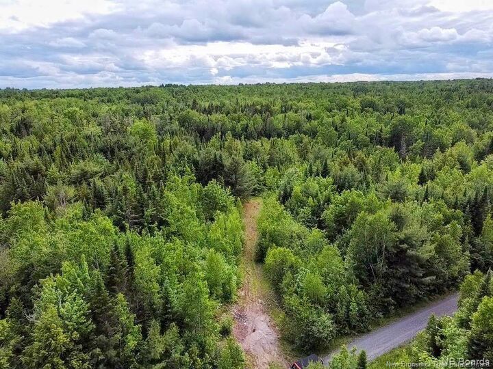 Property Photo:  Lot Rear Hwy 101 New Maryland  NB E3B 0C0 