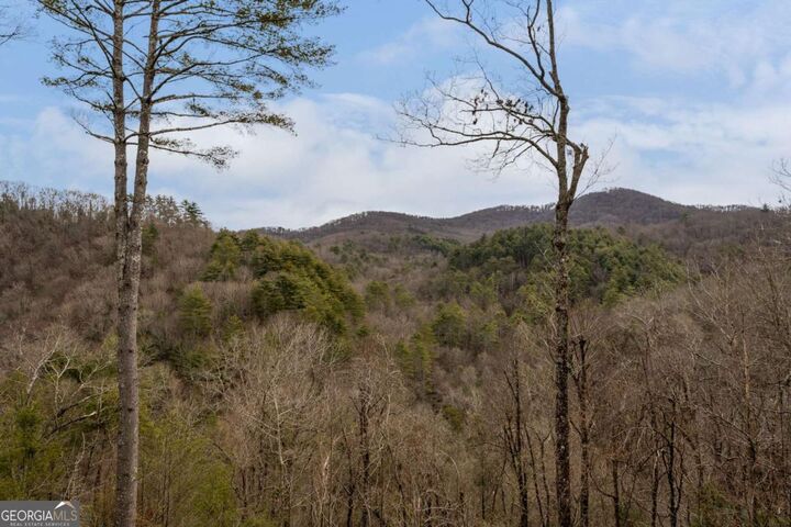 Property Photo:  197 Cashes Valley Overlook  GA 30522 