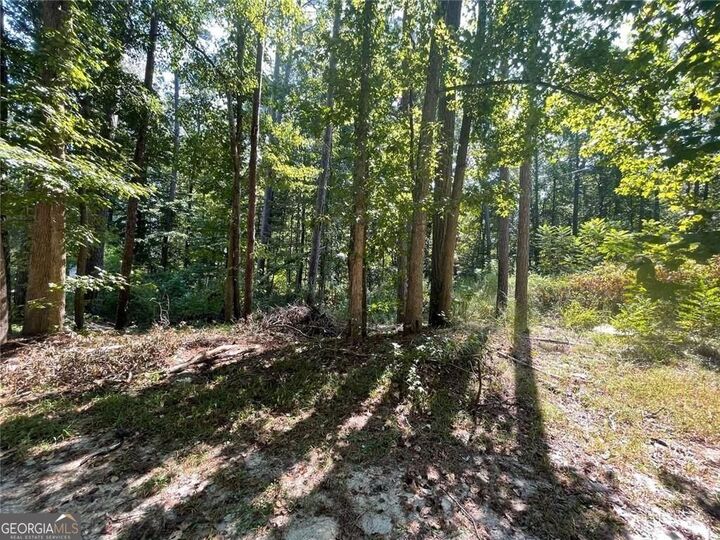 Property Photo: 6031 Falcon Court 8 GA 30106