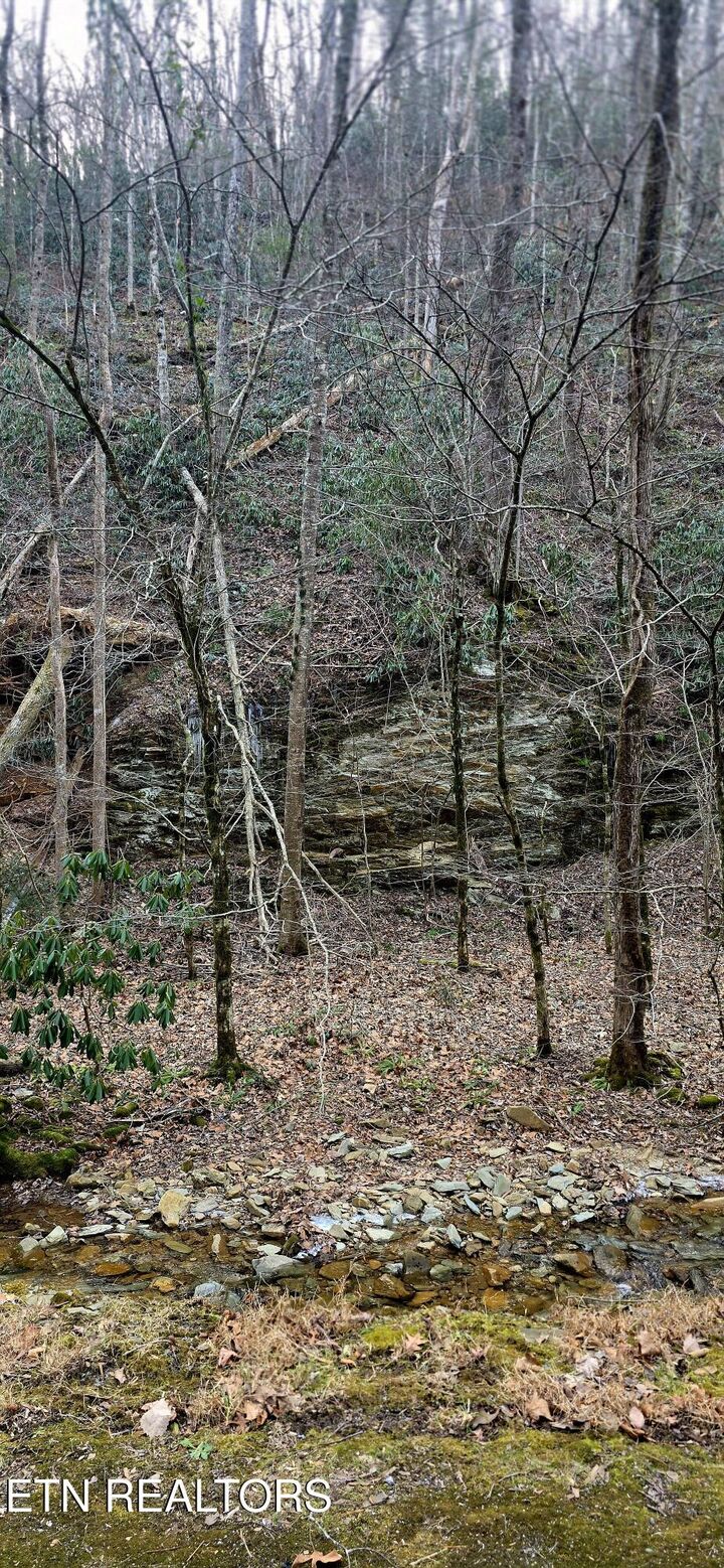 Property Photo:  N Clear Fork Rd  TN 37862 