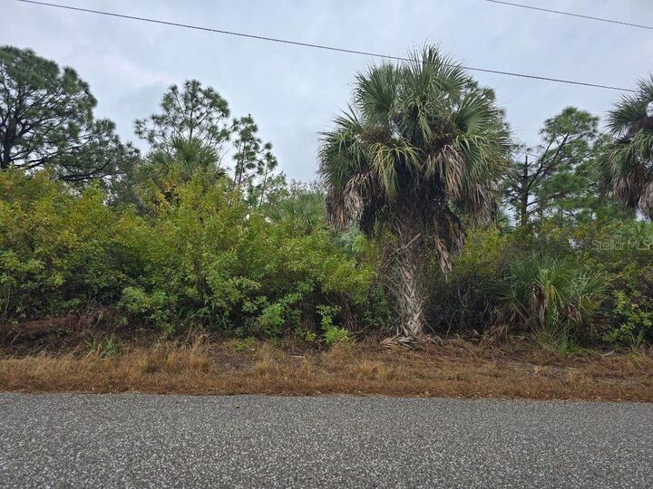 Property Photo:  3432 Como Street  FL 33948 