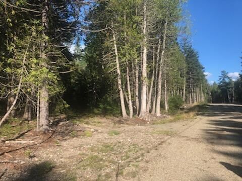 Property Photo: Lot 2 Driftwood Way ME 04660