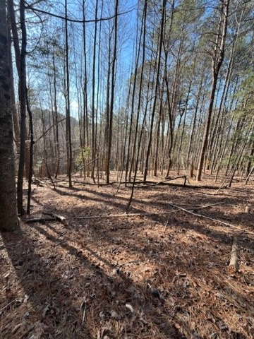Property Photo: Lot 36R Lakeview Lane GA 30536