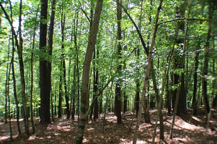 Property Photo:  Lot 36R Lake View Lane  GA 30536 