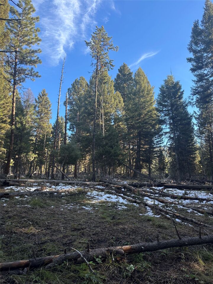 Property Photo:  1274 Grandview Drive  MT 59868 