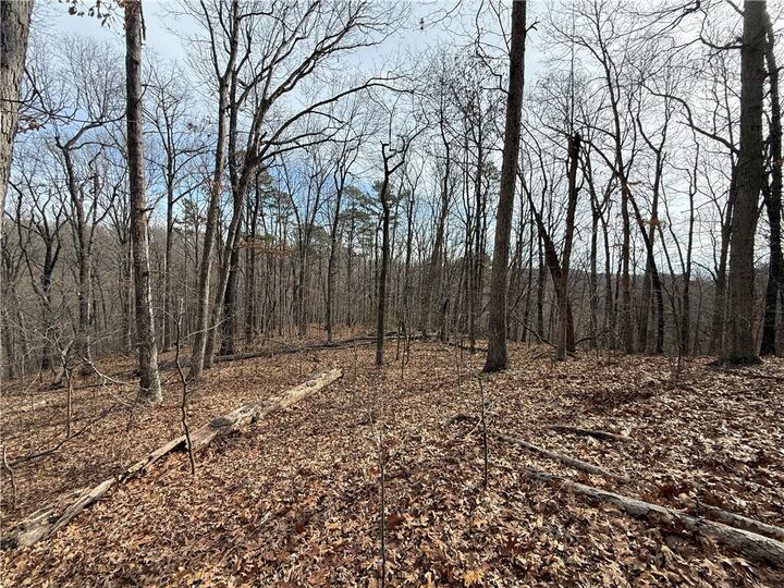 Property Photo:  Tract 3 Cardinal Ridge Road  AR 72632 