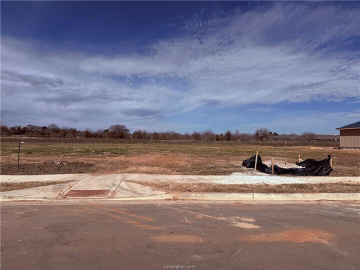 Property Photo:  5514 Harriet Street  TX 77807 