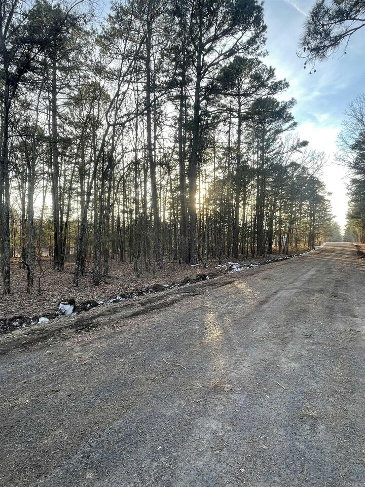 Property Photo:  Lot 4 Tract 45 Ellen Lane  AR 72067 