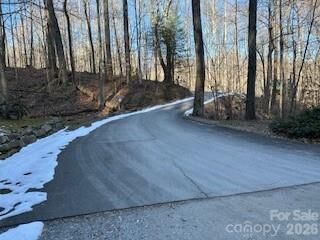 Property Photo:  19 Blairstone Lane  NC 28751 