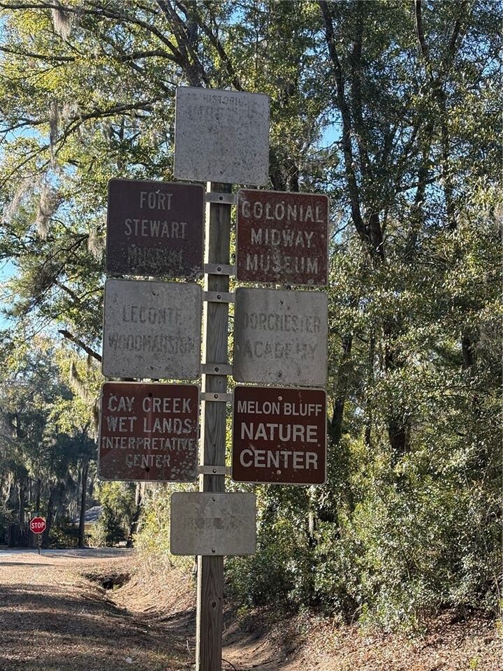 Property Photo: 0 Trade Hill Road GA 31320