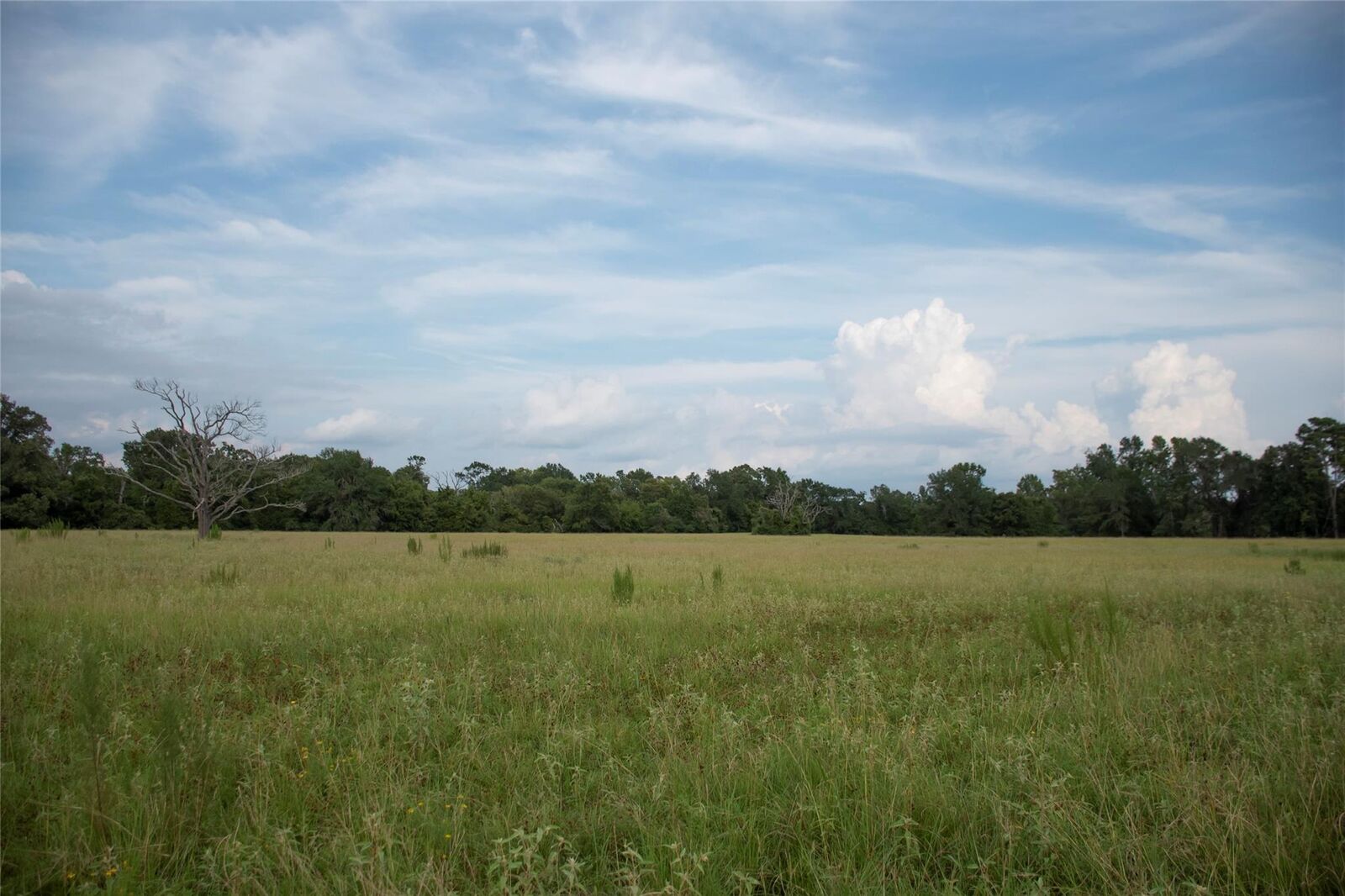 Property Photo:  1202 County Road 2255  TX 75844 