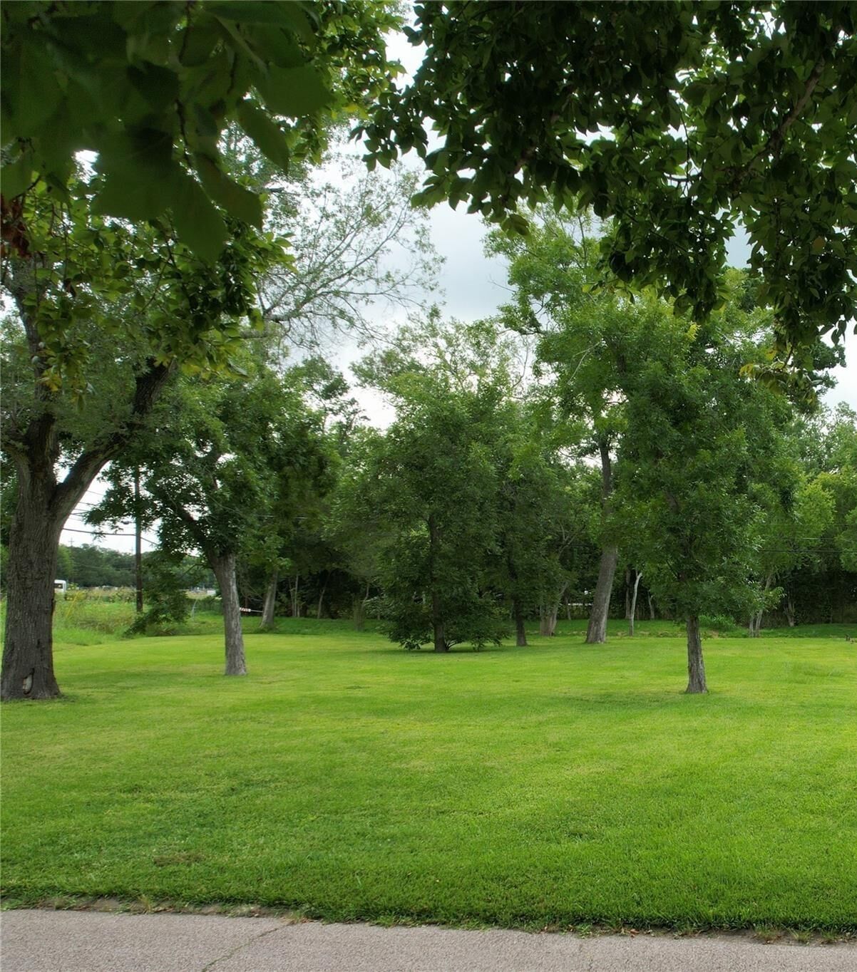 Property Photo:  001 Willowgrove Drive  TX 77035 