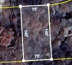 Property Photo:  120 Burrough Lane  TN 38558 