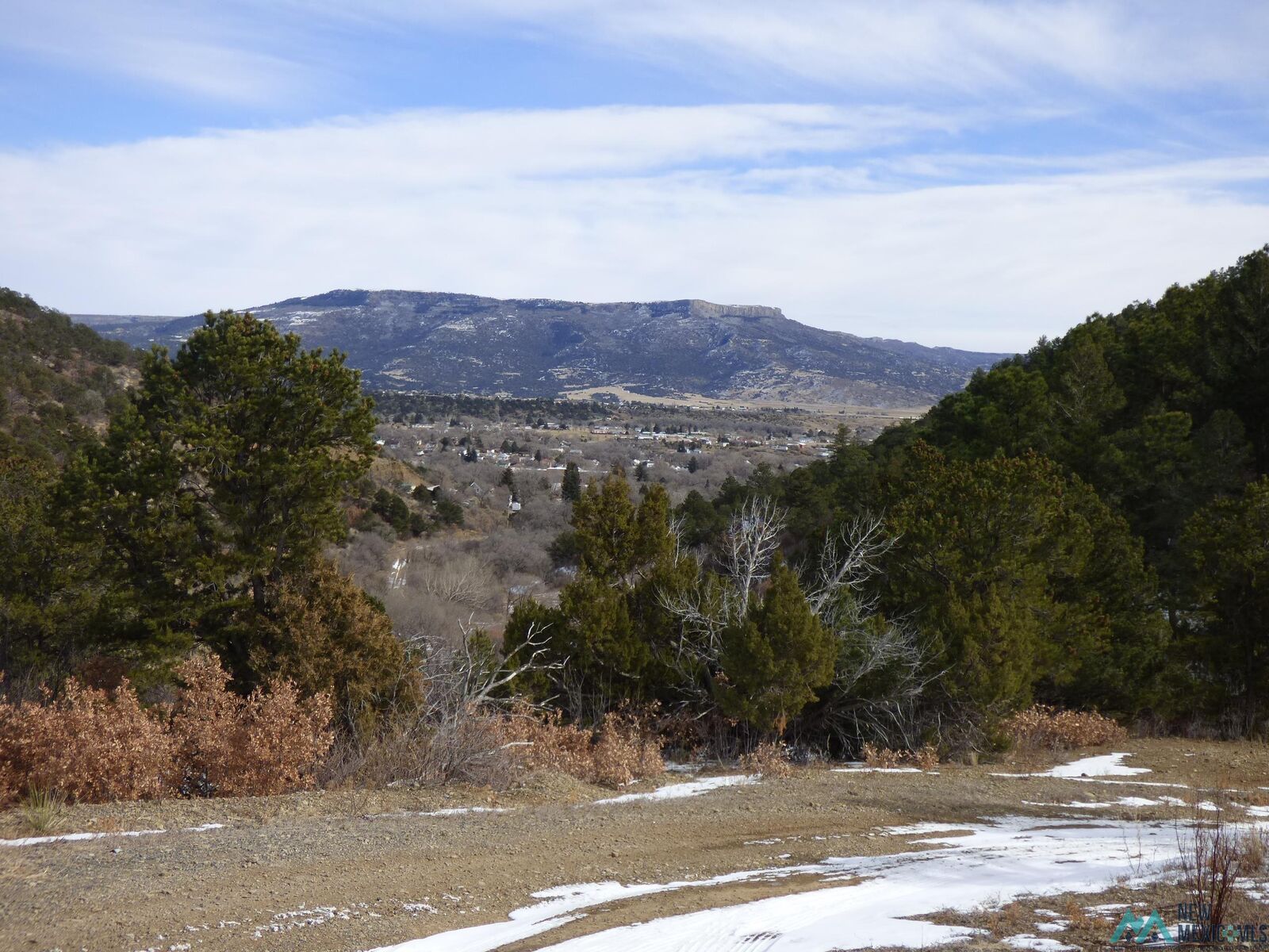 Property Photo:  450 Francis Ave. Avenue  NM 87740-450 