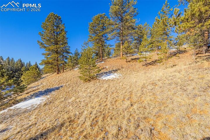 Property Photo:  772 E Bison Creek Trail  CO 80816 