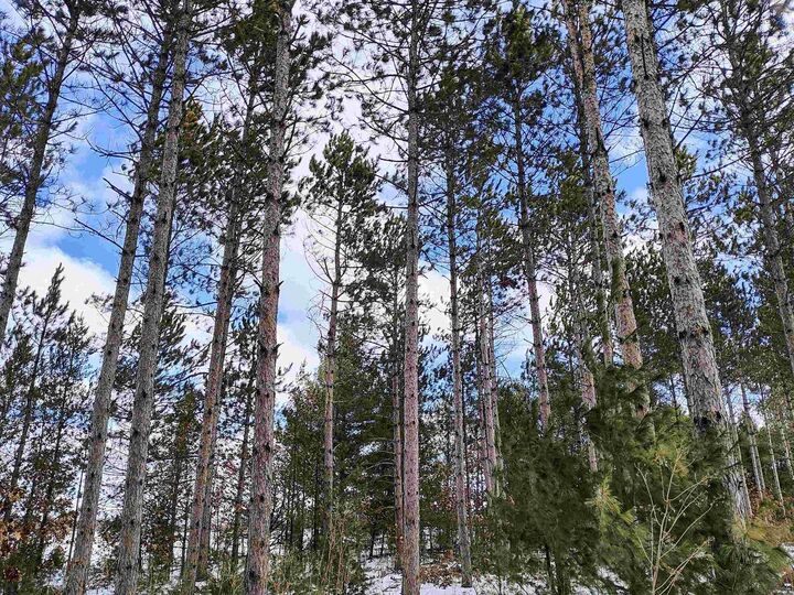 Property Photo: 19.81 Acres 6th Avenue WI 53936