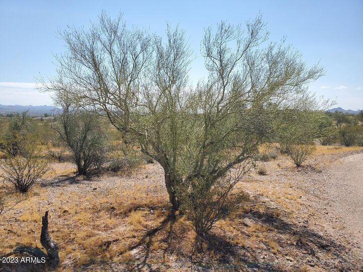 Property Photo:  Lot 1*** 337th Avenue 1  AZ 85390 