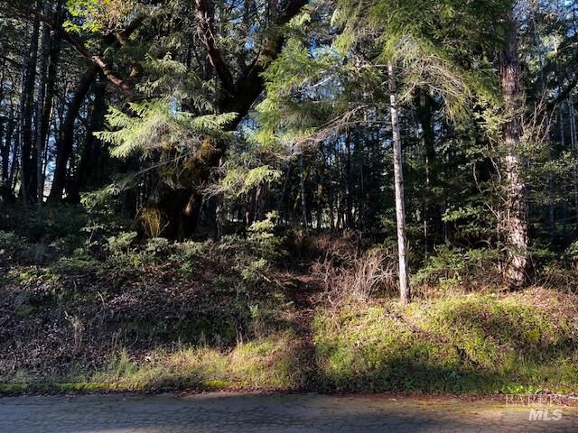 Property Photo:  24419 Cypress Drive  CA 95490 