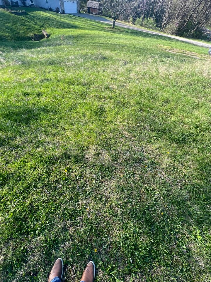 Property Photo: 621 S 2nd Street OH 43055