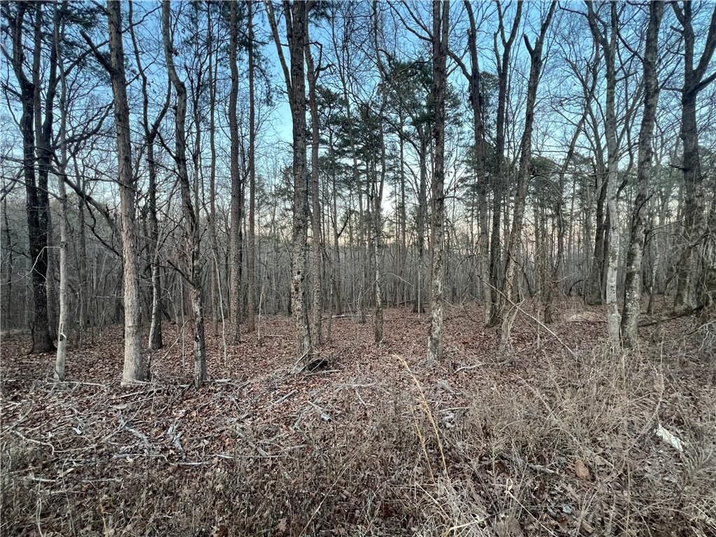 Property Photo:  0 Ireland Drive  GA 30161 