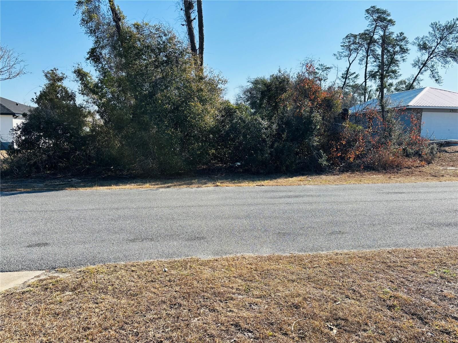 Property Photo: 0 SW 153rd Place Road 3 FL 34473