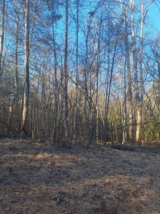 Property Photo:  Lots Mill Creek Acres  GA 30513 