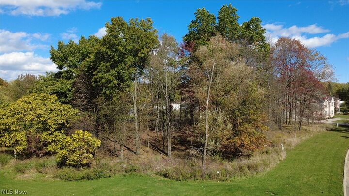 Property Photo:  Village Drive  OH 44147 