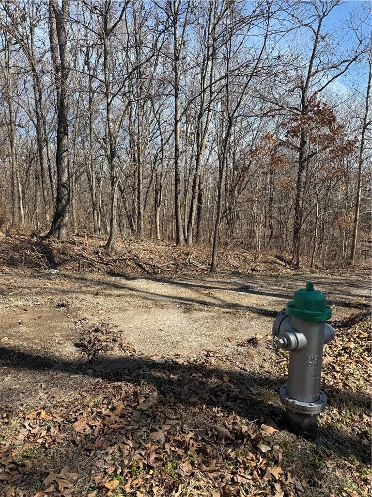 Property Photo:  11 Pamela Lane  AR 72715 