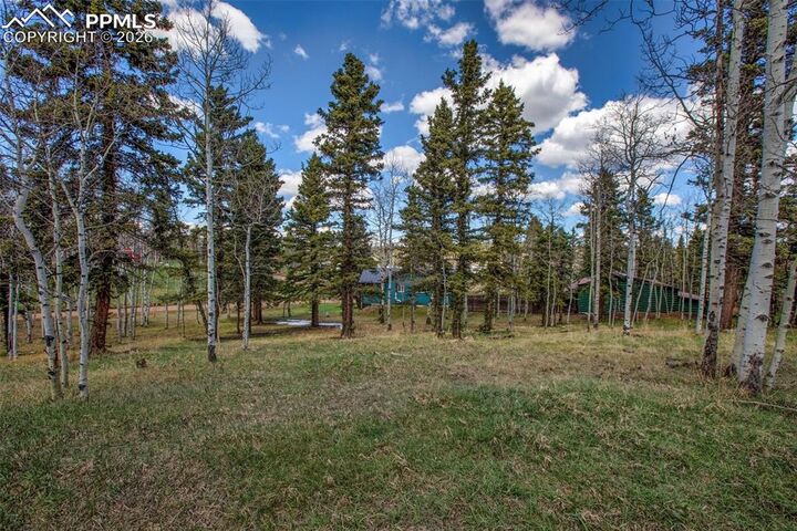 Property Photo: 571 Will Scarlet Drive CO 80814