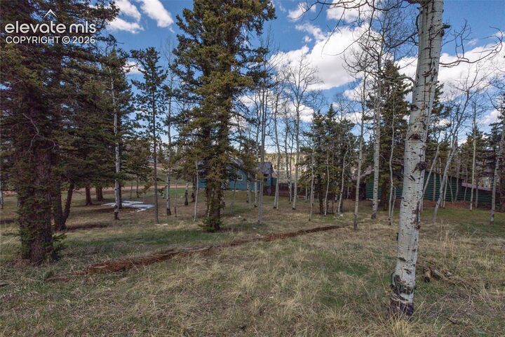 Property Photo: 571 Will Scarlet Drive CO 80814