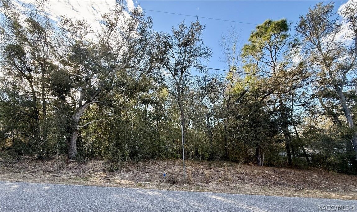 Property Photo:  94 N West Avenue  FL 34453 