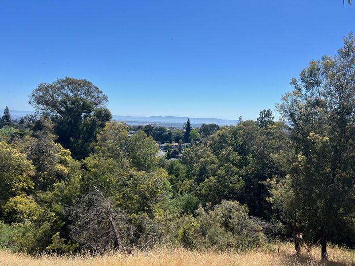 Property Photo:  3257 Monterey Blvd.  CA 94602 