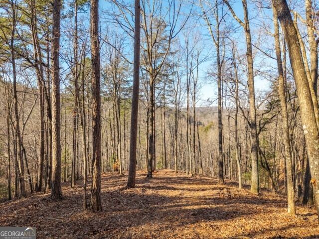 Property Photo:  1665 Hunter Drive 42  GA 30175 