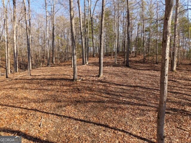 Property Photo: 1884 Finale Street GA 30175