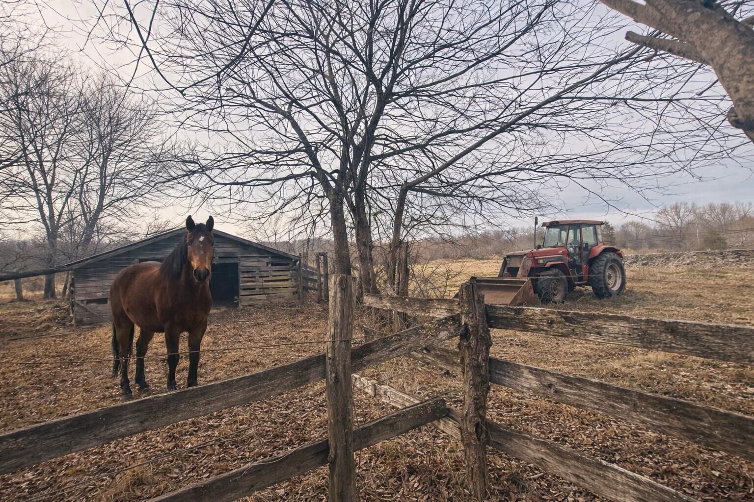 Property Photo:  0 County Road 800  AL 35966 