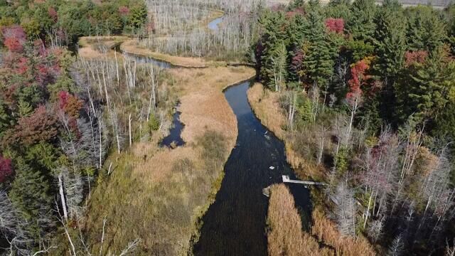 Property Photo:  5683 N Tyndall Road  MI 49402 