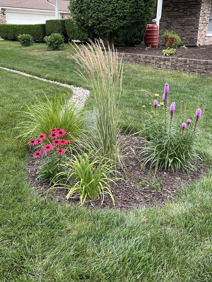 Property Photo:  529 Meadow Lane  IL 60532 