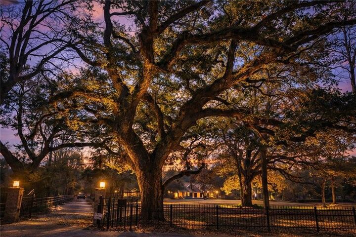 Property Photo:  62305 Highway 1091 Highway  LA 70452 