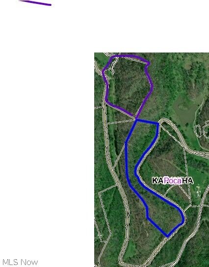Property Photo:  0000 Poca Flats Road  WV 25320 