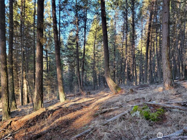 Property Photo: 9999 Tbd Lundimo Meadows Road WA 99118