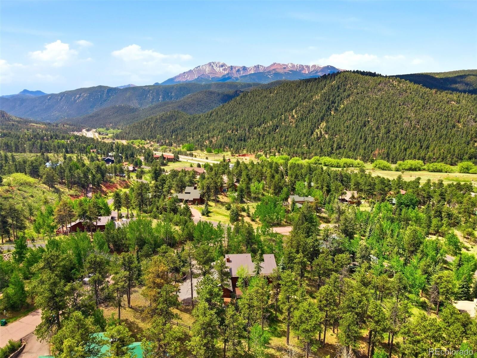 Property Photo:  220 Morning Sun Drive  CO 80863 