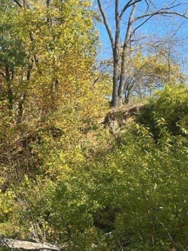 Property Photo:  0 E Springersville Road  IN 47325 