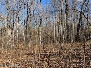 Property Photo:  3633 Shacktown Road  NC 27055 