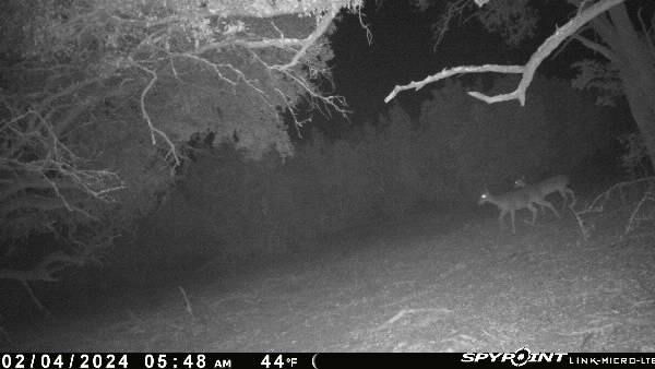 Property Photo: 180 Robison Road TX 78605