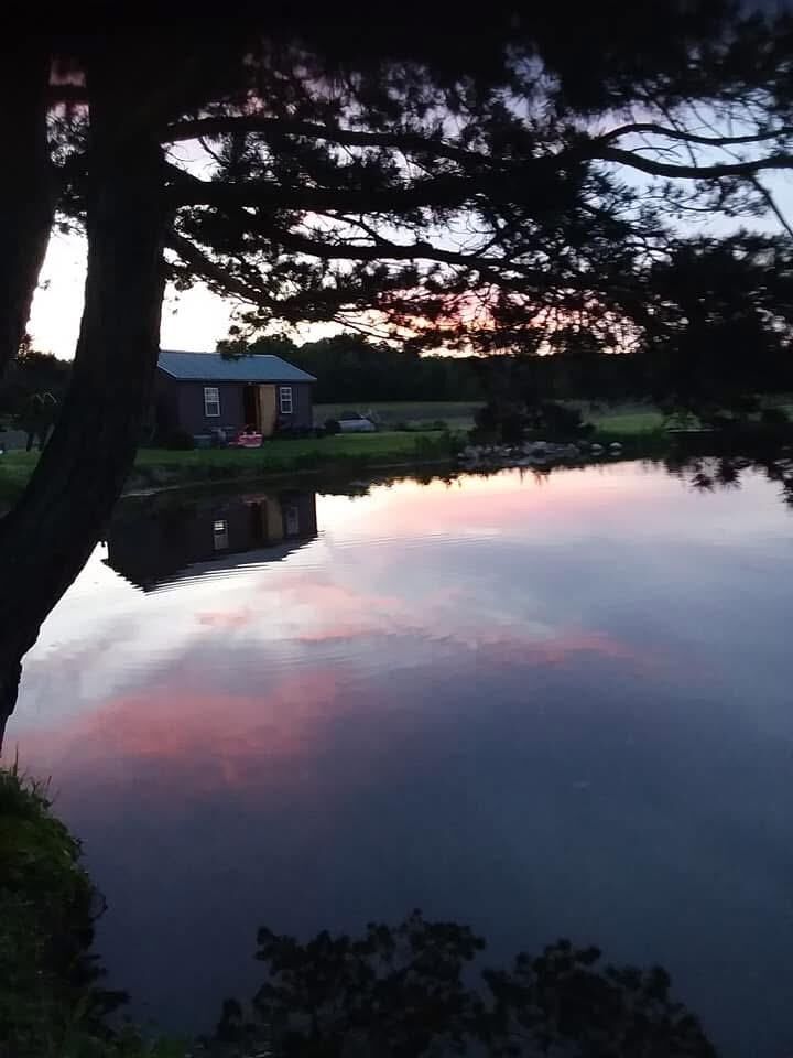 Property Photo:  Firestone Rd  OH 44235 