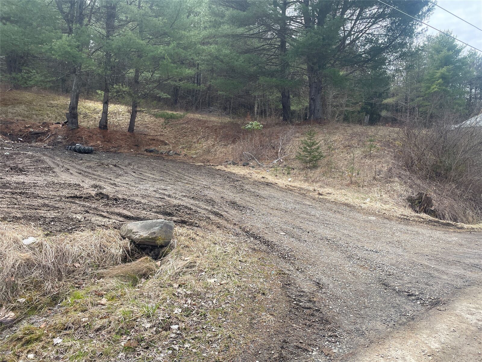 Property Photo: 125 Old Newark Valley Road NY 13760