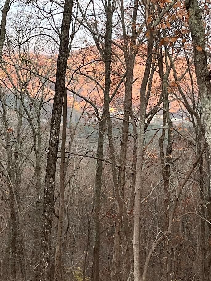 Property Photo:  0 Battleline Drive  GA 30740 