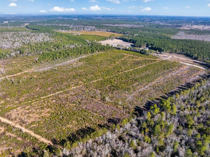 Property Photo:  100 Acres Fifteen Mile Bay Rd.  SC 29581 