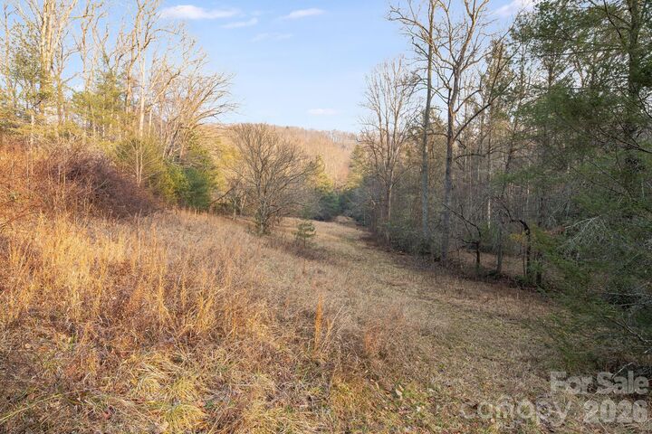 Property Photo:  0000 Red Eft Way  NC 28742 