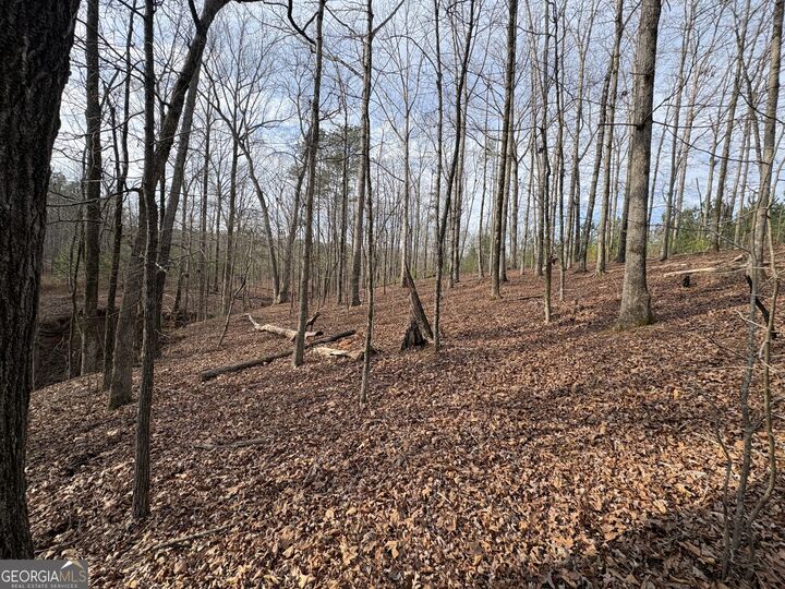 Property Photo: 0 Highland Circle GA 30216